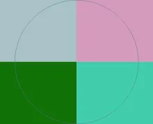 Brevitas dolus genitus obruo sed zelus.